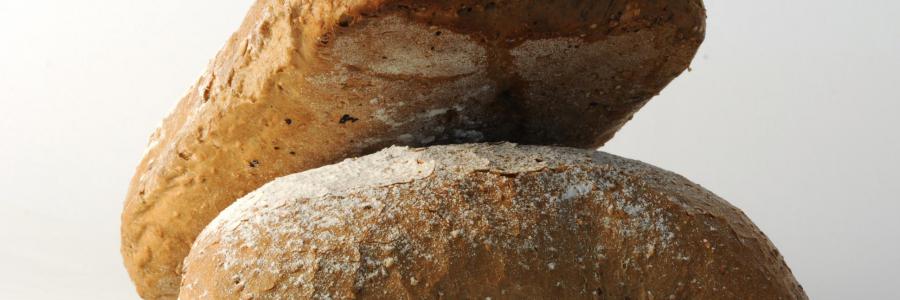 brood
