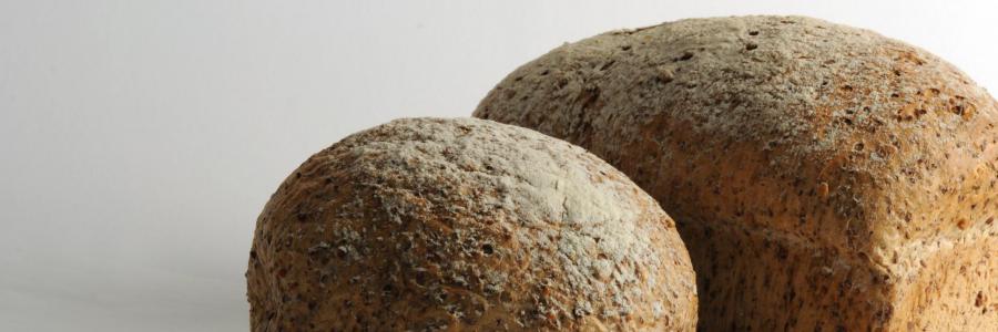 brood
