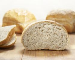 BRUIN BROOD